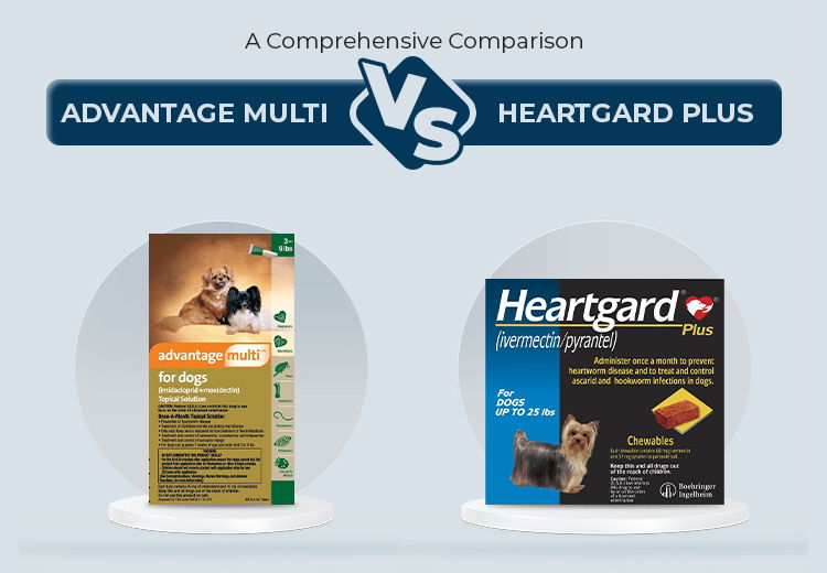 Advantage Multi vs. Heartgard Plus for Dogs